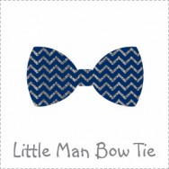 Little Man Bowtie Baby Shower